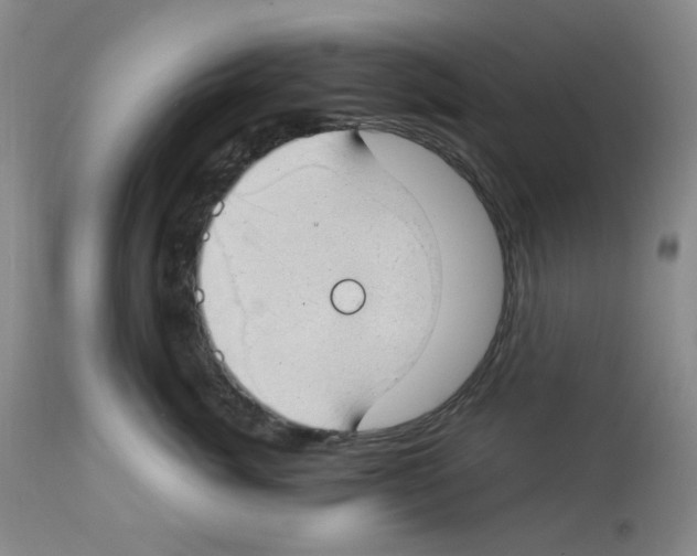 X0000112740764200910011220