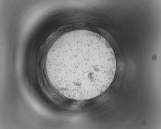 X0000112740765200910011220