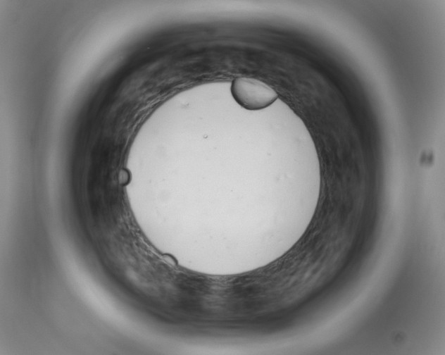 X0000112740766200910011220