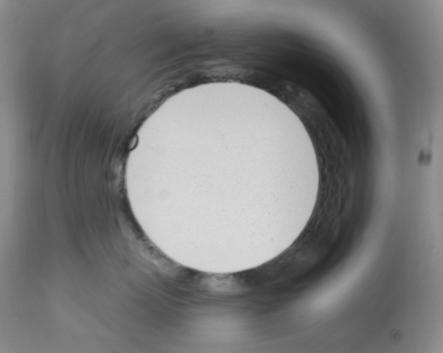 X0000112740767200910011220