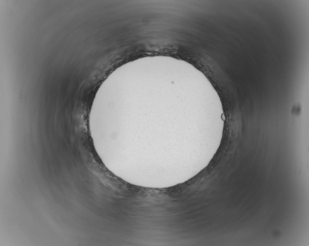 X0000112740770200910011219