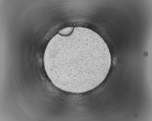 X0000112740771200910011219