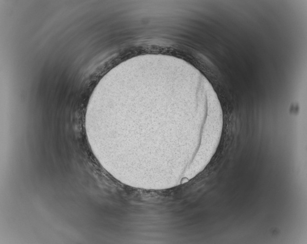 X0000112740774200910011219