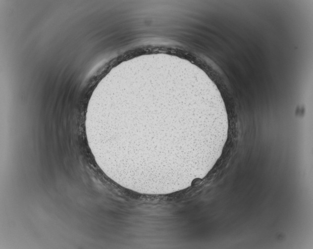 X0000112740775200910011219