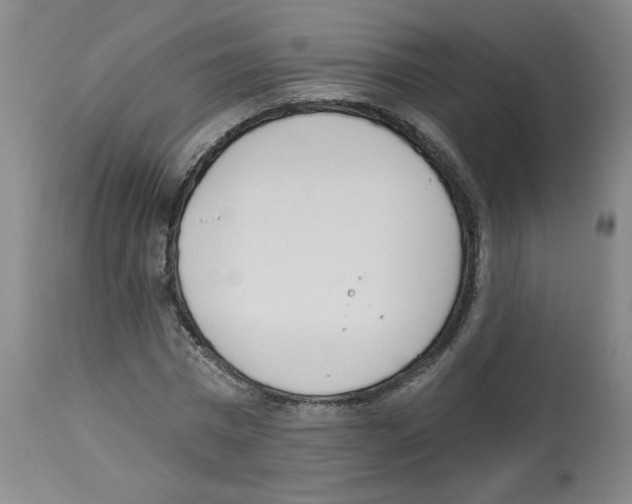 X0000112740777200910011219