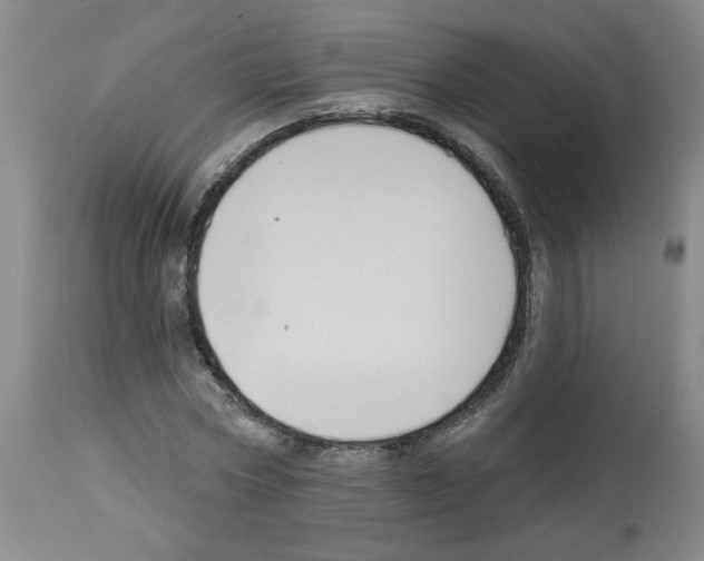 X0000112740778200910011219