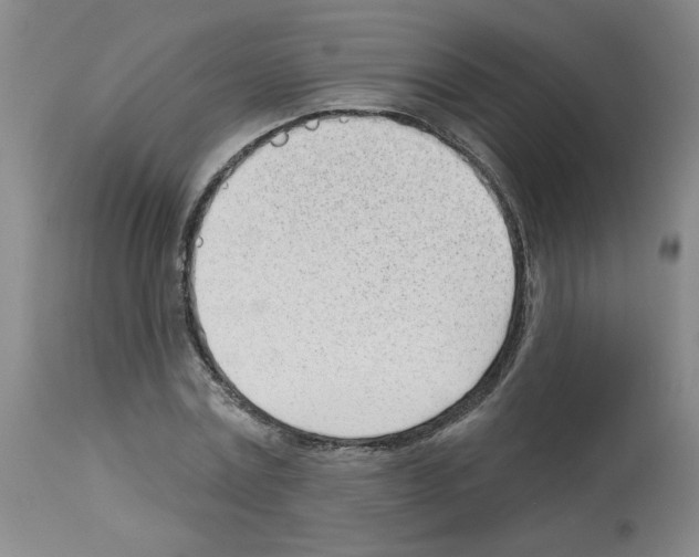 X0000112740779200910011219