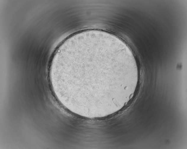 X0000112740780200910011219