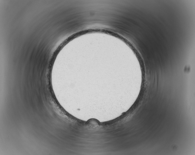 X0000112740783200910011219