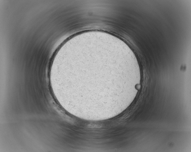 X0000112740788200910011219