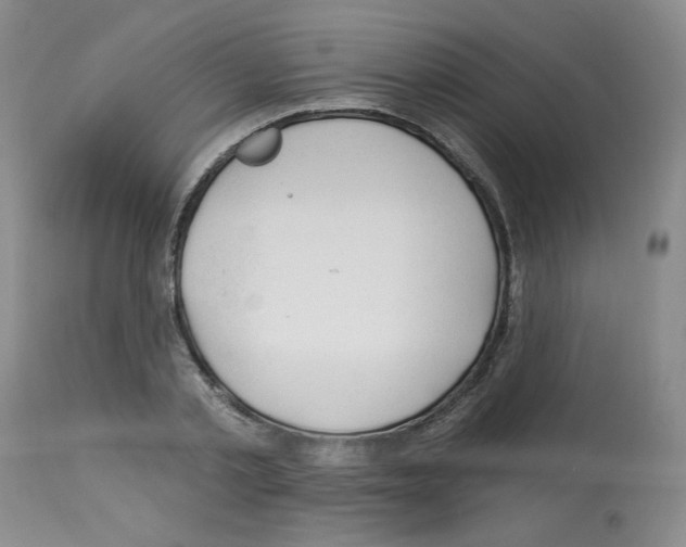 X0000112740789200910011219