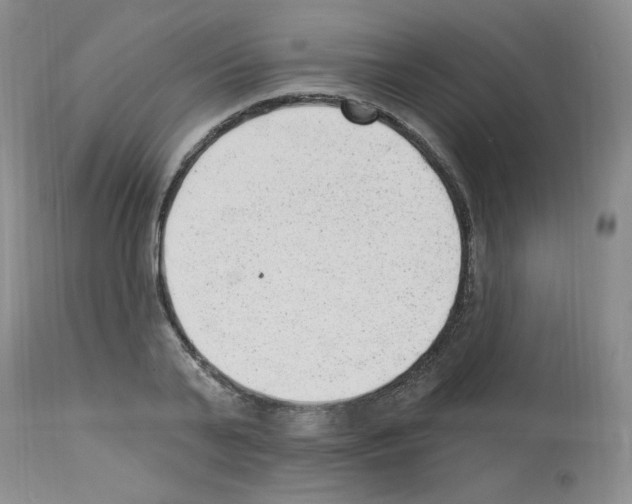 X0000112740791200910011219