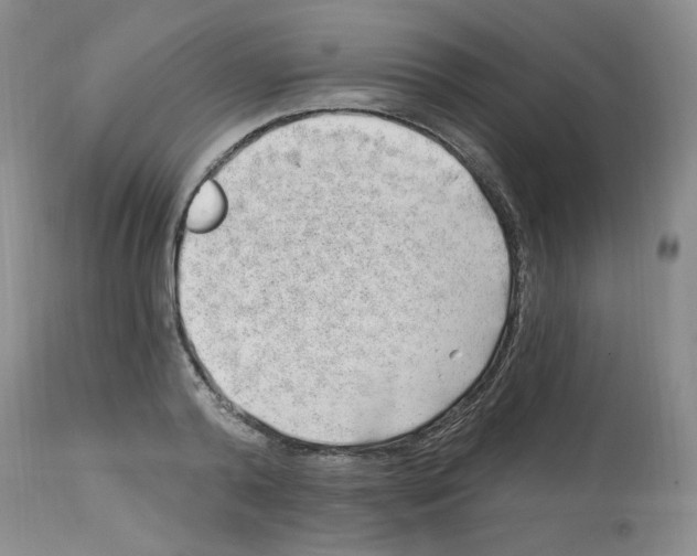 X0000112740792200910011219