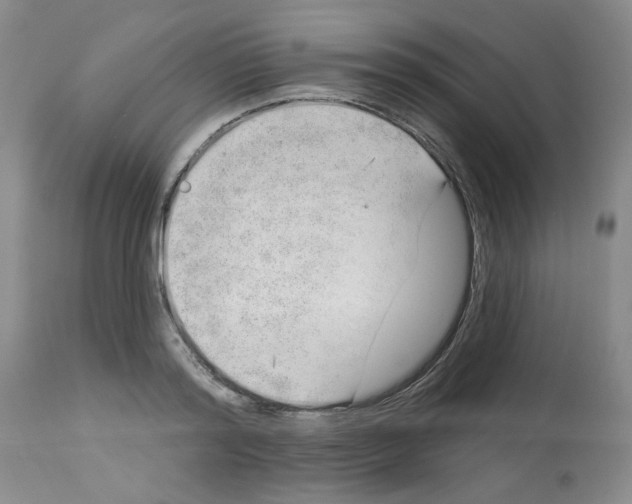 X0000112740796200910011219