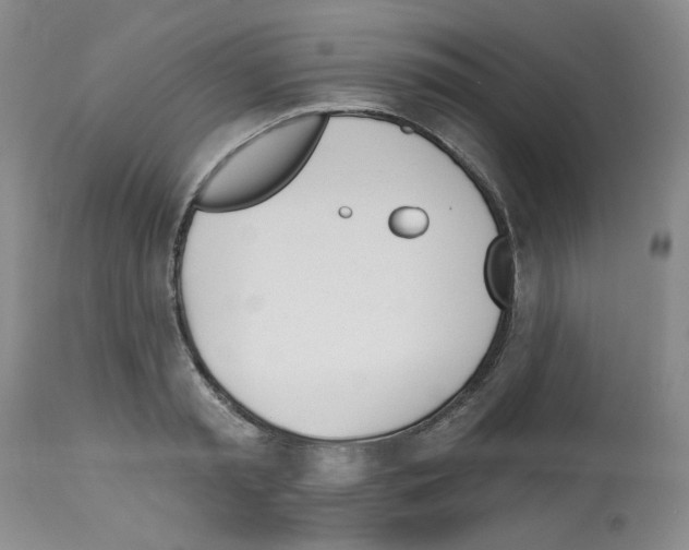 X0000112740797200910011219