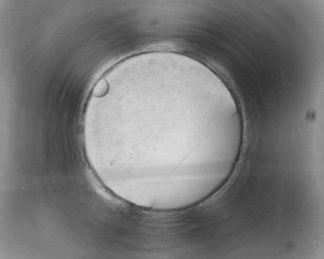 X0000112740800200910011219