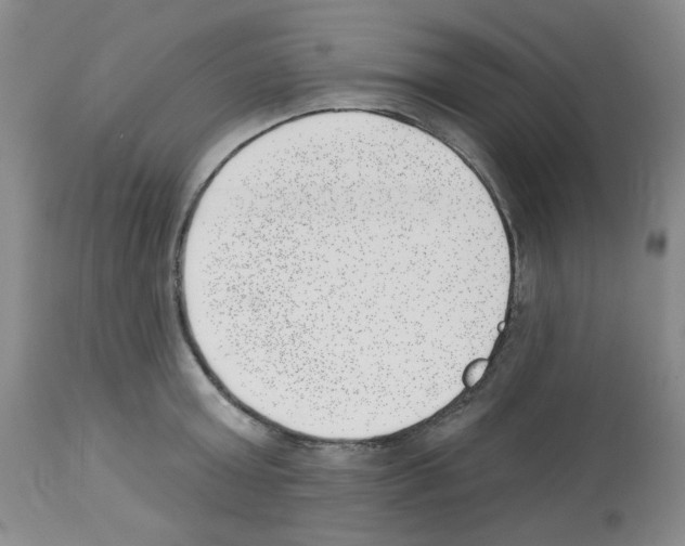 X0000112740803200910011219