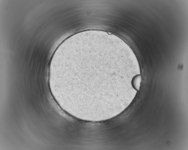 X0000112740804200910011219