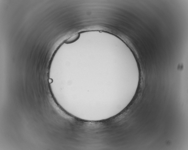 X0000112740805200910011219