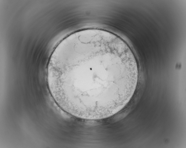 X0000112740807200910011219