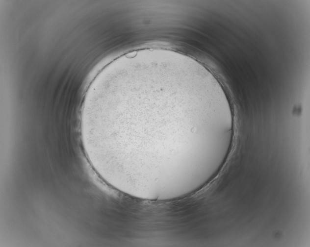 X0000112740808200910011219