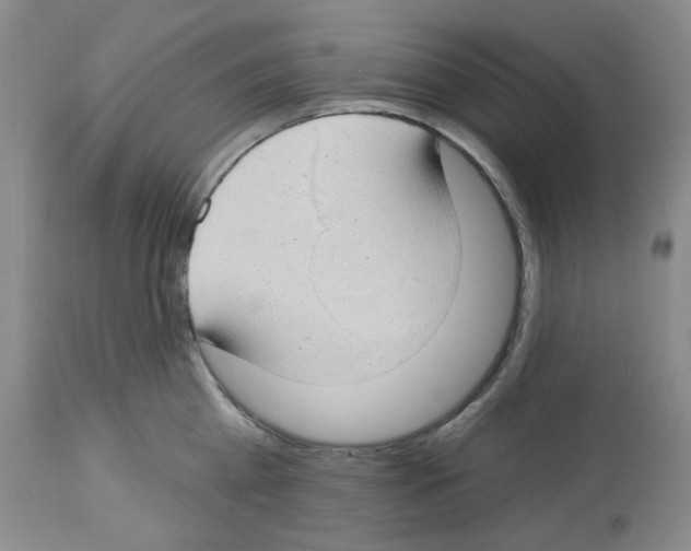 X0000112740809200910011219