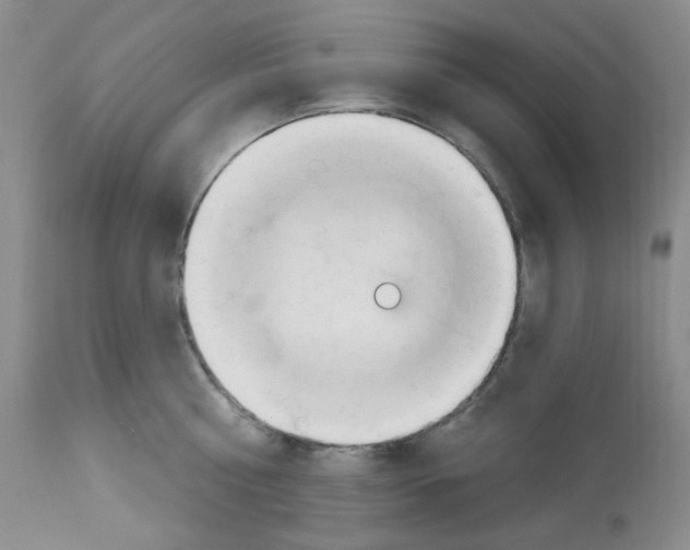 X0000112740810200910011219