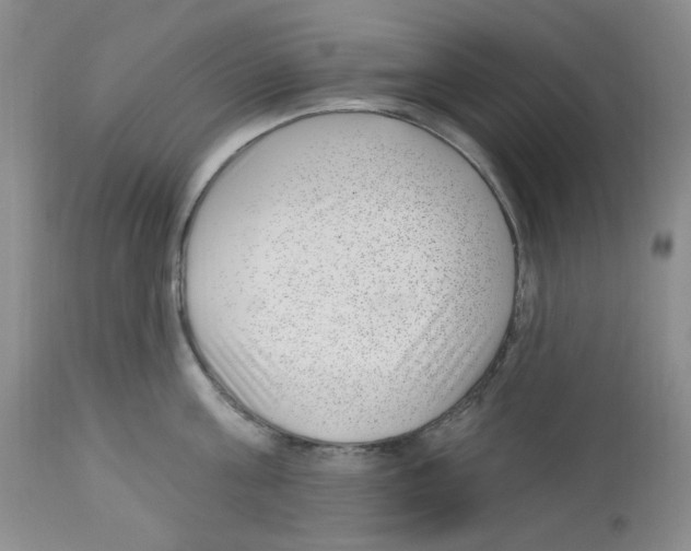 X0000112740811200910011219