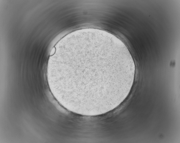 X0000112740812200910011219