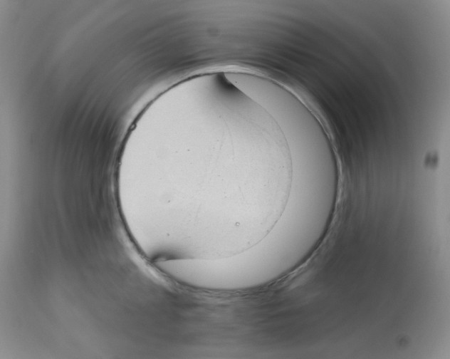 X0000112740813200910011219