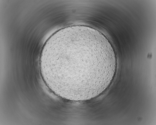 X0000112740814200910011219