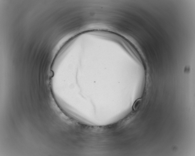 X0000112740815200910011219