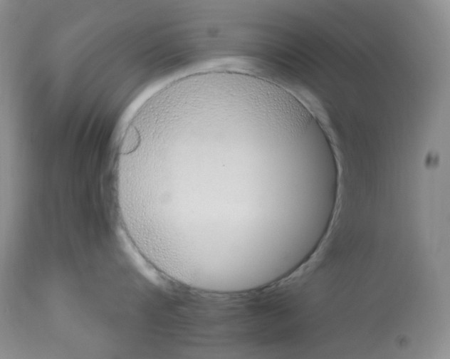 X0000112740816200910011219