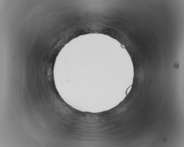 X0000112740818200910011218