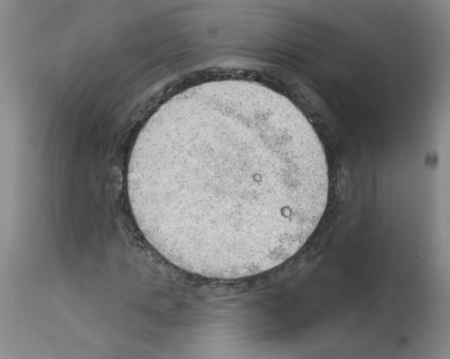 X0000112740821200910011218