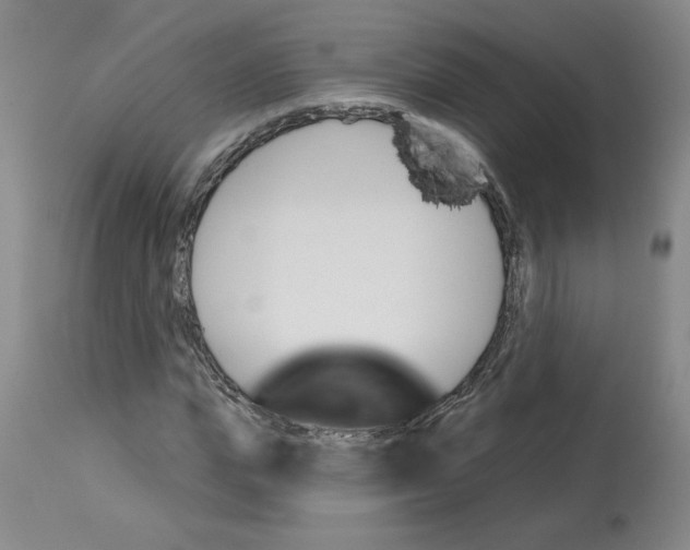 X0000112740823200910011218