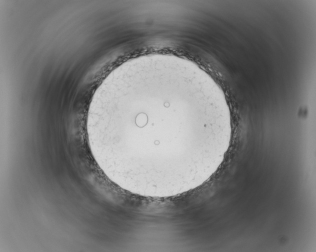 X0000112740824200910011218