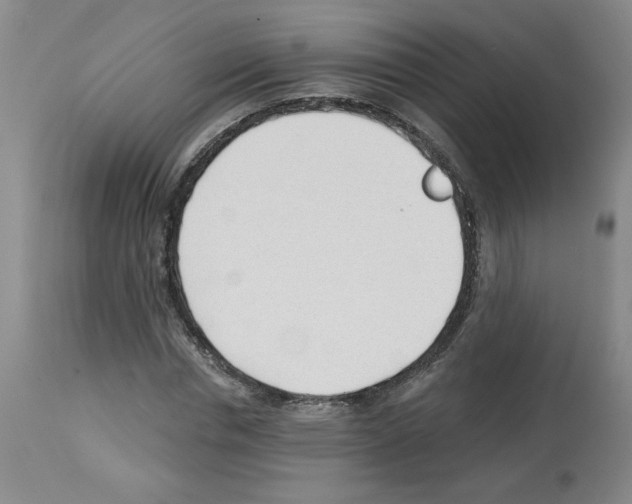 X0000112740826200910011218