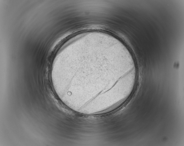 X0000112740827200910011218