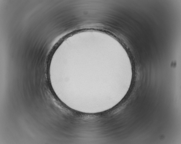 X0000112740830200910011218