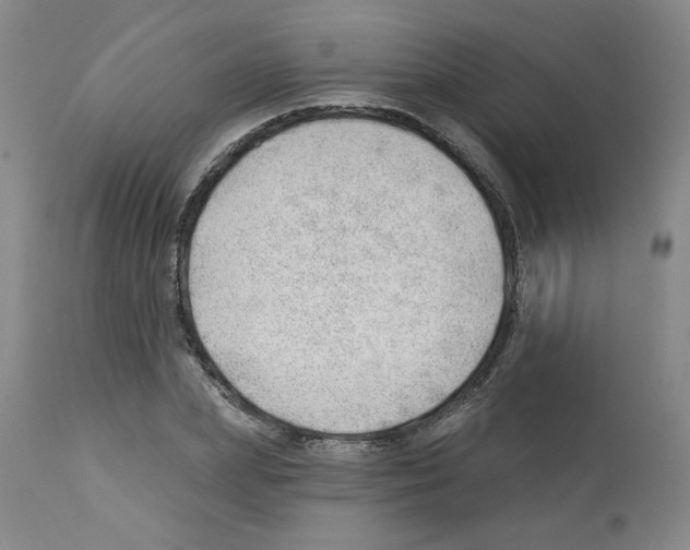 X0000112740831200910011218