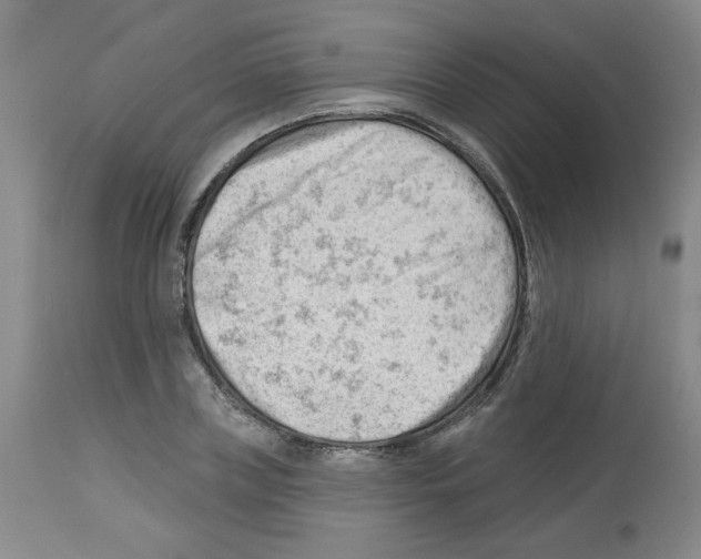 X0000112740835200910011218