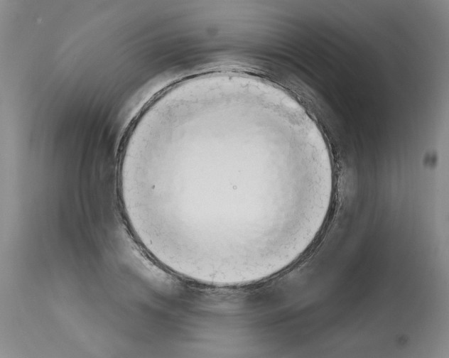 X0000112740836200910011218