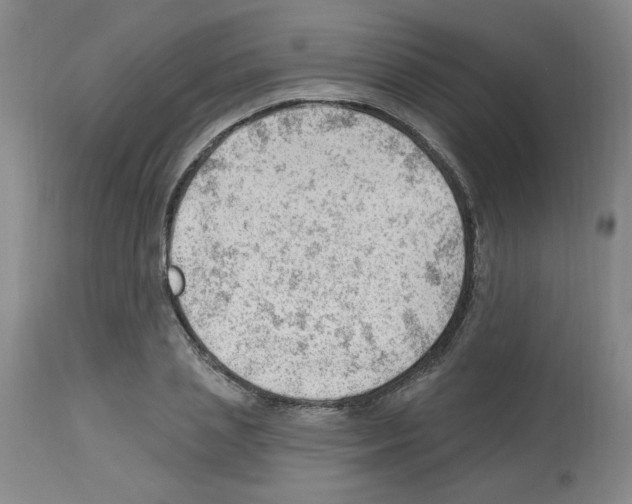 X0000112740837200910011218