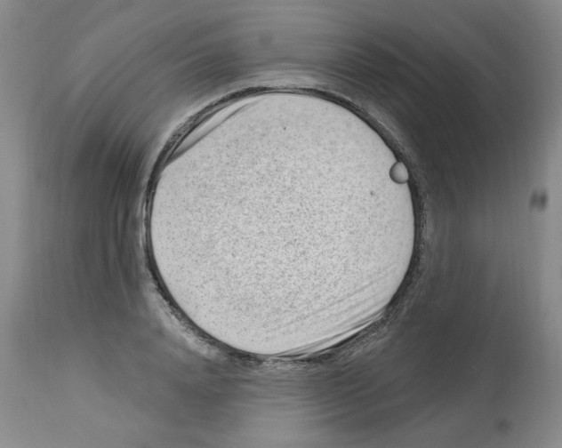 X0000112740840200910011218