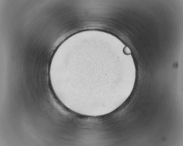 X0000112740842200910011218