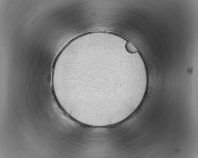 X0000112740844200910011218