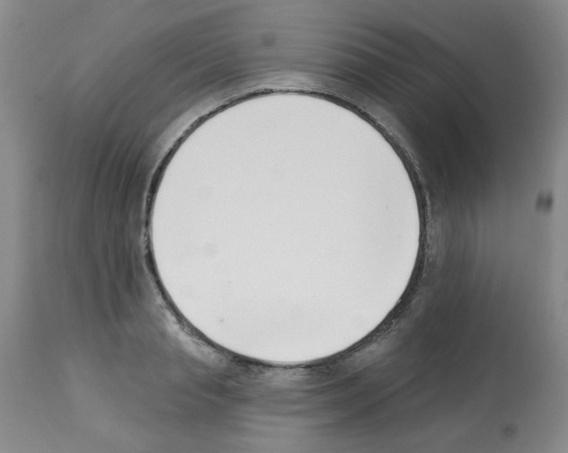 X0000112740845200910011218