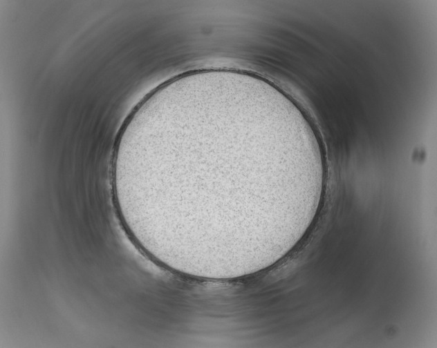 X0000112740847200910011218