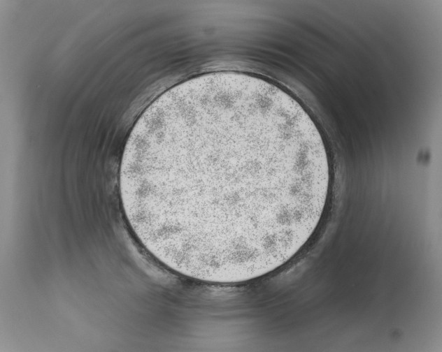 X0000112740849200910011218